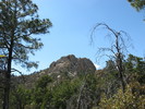 photo thumbnail #2