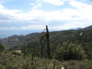 photo thumbnail #7