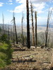 photo thumbnail #8