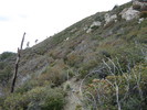 photo thumbnail #13