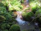 photo thumbnail #11