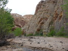 photo thumbnail #6