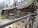photo thumbnail #5