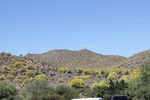 photo thumbnail #1