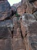 photo thumbnail #13