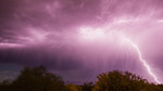 photo thumbnail #10
