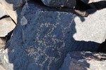 photo thumbnail #13