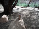 photo thumbnail #5