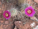 photo thumbnail #15