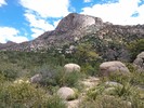 photo thumbnail #3