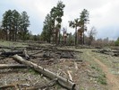 photo thumbnail #14