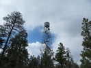 photo thumbnail #15
