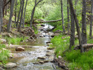 photo thumbnail #9
