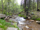 photo thumbnail #11