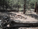photo thumbnail #6