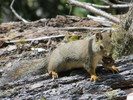 photo thumbnail #13