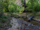 photo thumbnail #3