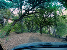 photo thumbnail #4