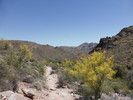 photo thumbnail #7
