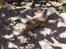 photo thumbnail #10