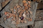 photo thumbnail #4
