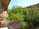photo thumbnail #11