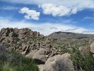 photo thumbnail #13