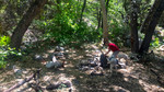 photo thumbnail #6