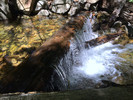 photo thumbnail #10