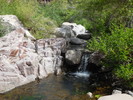 photo thumbnail #1