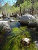 photo thumbnail #4