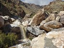 photo thumbnail #2