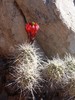 photo thumbnail #11
