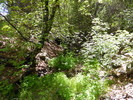 photo thumbnail #13