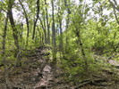 photo thumbnail #15