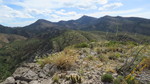 photo thumbnail #14