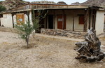 photo thumbnail #8
