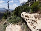 photo thumbnail #8