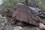 photo thumbnail #6
