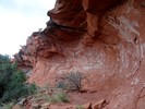 photo thumbnail #13