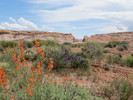 photo thumbnail #6