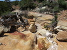 photo thumbnail #7