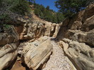 photo thumbnail #8