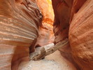 photo thumbnail #6