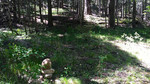 photo thumbnail #11