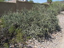 photo thumbnail #5