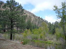 photo thumbnail #4