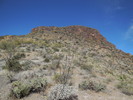 photo thumbnail #1