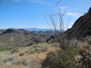 photo thumbnail #2