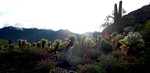 photo thumbnail #4